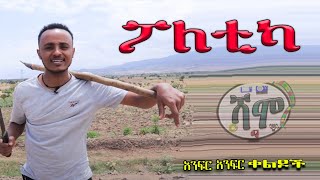 NEW  ፖለቲካ  Zedo  Dirshu comedy  አንፍር አንፍር ቀልዶች  ዜዶ  ድርሹ በጣም አስቂኝ ቀልድ [upl. by Ahsercal]