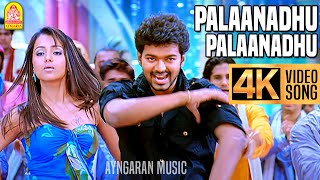 Palaanadhu Palaanadhu  4K Video Song பலானது பலானது Kuruvi  Vijay  Trisha  Vidyasagar  Ayngaran [upl. by Attalie]