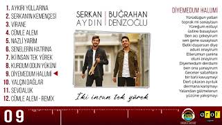 Serkan AYDIN amp B DENİZOĞLU featSelçuk BALCI  DİYEMEDİM DERDİMİ [upl. by Wendolyn687]