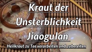 Kraut der Unsterblichkeit  Jiaogulan  Heilkraut zu Tee verarbeiten und zubereiten [upl. by Dnalerb735]