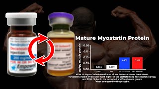 What I Wish Someone Taught Me About “Swapping Compounds” For Muscle Growth [upl. by Ehcor]