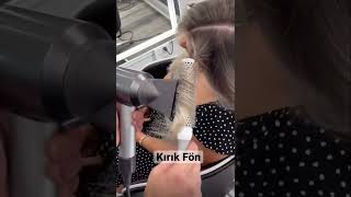 Kırık Fön hair hairstyle haircolor haircut hairstyles shorts haircare [upl. by Nanah]