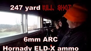 247 yard deer kill shot using a 6mm ARC shooting Hornady ELDX ammo 2023 Indiana Deer Season [upl. by Temple]