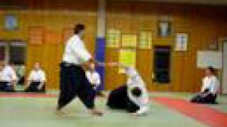 Bruno Zanotti Aikido [upl. by Aneehsak322]