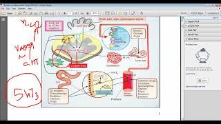 Antiemetic part 2 [upl. by Lynad]