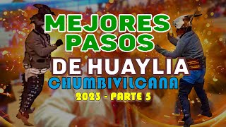 Mejores pasos de la Huaylia Chumbivilcana 2023 Parte 5 AuhanaStudio©2023 [upl. by Demitria980]