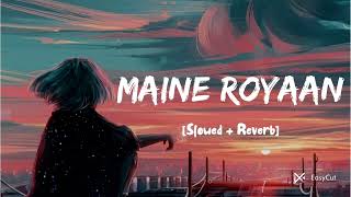 Maine Royaan lofi remix song [upl. by Sloan]