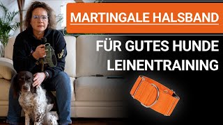 🐶 Stephanie Salostowitz ➡️Martingale Halsband für gutes Hunde Leinentraining 🐶✔️ [upl. by Brookhouse403]