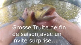 GROSSE TRUITE DE FIN DE SAISON PECHE AU LEURRE [upl. by Rawdin]