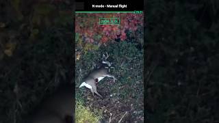 Thermal drone made quick work on follow up of gut hit buck ￼ [upl. by Ahcsat]