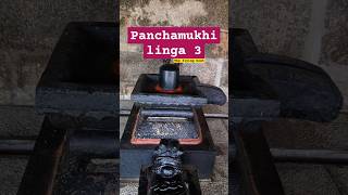 Panchamukhi linga 3 aghora lordshiva god [upl. by Areht]