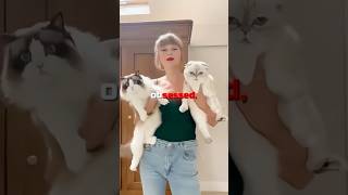 Katy Perry STEALS Taylor Swifts CAT 🤯🐈 [upl. by Akemhs]