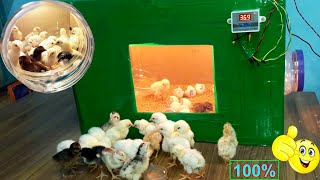 BEST INCUBATOR FOR CHICKEN EGGS WITH 100 EFFICIENCY  DIYHOMEMADE EGG INCUBATOR  YOU CAN DO THIS [upl. by Yellah]