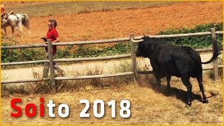 Soito 2018  Encerro e Toiro da Prova capeia [upl. by Gabi]