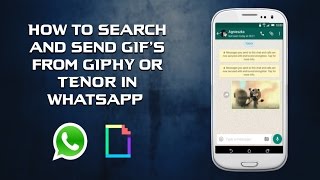 How to search and send GIFs from GHIPY all from inside WhatsApp [upl. by Arataj29]