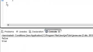 PROGRAMMER EN JAVA Débutant  28  Les booléens [upl. by Anividul]