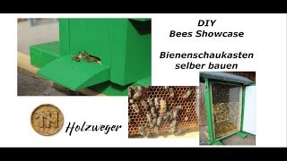 Bienen  Bienenschaukasten  Selber bauen  DIY  Helmchen [upl. by Naldo]