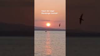 Sheila on seven viralshort sunset firshortvideo 🌴🌴⛵ [upl. by Anned]