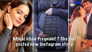 Minal khan Pregnancy photoshoot Video [upl. by Dann]