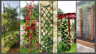 trellis ideas for vegetable garden  outdoor trellis ideas [upl. by Kaliope506]