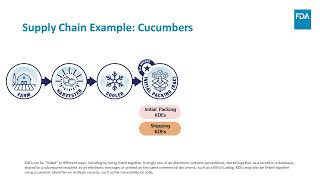 How the Food Traceability Rule works Produce Supply Chain Example [upl. by Seiuqram]