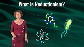 What is Reductionism [upl. by Acired802]