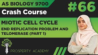 End Replication Problem and Telomerase Part 1  Mitotic Cell Cycle  9700 AS Biology UrduHindi [upl. by Viola171]