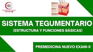 SISTEMA TEGUMENTARIO  PREMEDICINA  NUEVO EXANIII [upl. by Carlock]