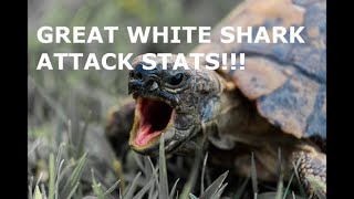 Breakdown of the 206 Great White Shark Attacks Covered to Date [upl. by Leidba597]