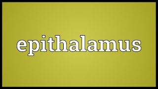 Epithalamus Meaning [upl. by Alenoel]