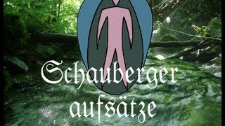 Aufsätze von Viktor Schauberger  Die KraftHochquelle [upl. by Regan]