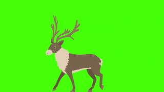 Megaloceros Green Screen [upl. by Geiger]