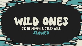 Jessie Murph amp Jelly Roll  Wild Ones slowed  reverb  lyrics [upl. by Hakceber]