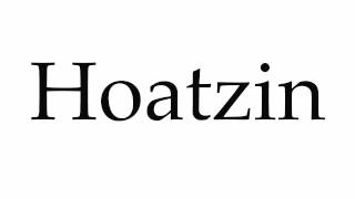 How to Pronounce Hoatzin [upl. by Scotney]