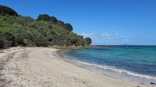 Beautiful scenery of TiriTiri Matangi island  New Zealand  Island Sanctuary [upl. by Llehcram225]