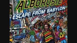 Alborosie  No Cocaine [upl. by Anilra]