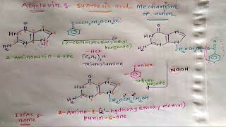 Acyclovir Synthesis and Mechanism of action [upl. by Gord161]