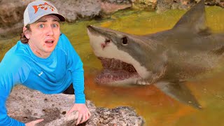 I Found a Pond Infested with Sharks [upl. by Leterg275]