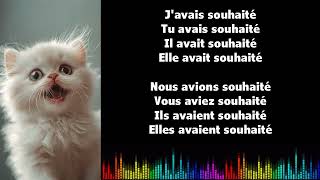 ♫ Japprends le français ♫ Conjugaison I SOUHAITER I Plus que parfait [upl. by Seena]