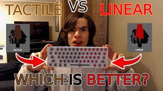 Tactile VS LinearWhich Switch Is BETTER [upl. by Hegarty]