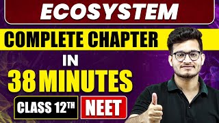 Ecosystem in 38 Minutes  Full Chapter Revision  Class 12th NEET [upl. by Frodina942]