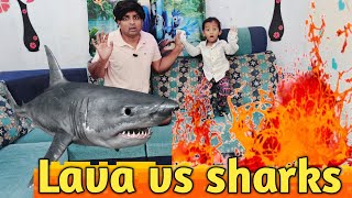 Lava in house vs sharks 🦈  comedy video  funny video  Prabhu Sarala lifestyle [upl. by Norina929]