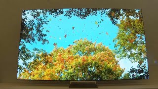 Samsung launches nextgen AIpowered TV at Las Vegas tech show [upl. by Nidraj]