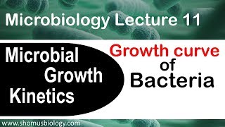 Bacterial growth curve microbiology  Log phase lag phase stationary phase in microbial growth [upl. by Aerdnaid586]