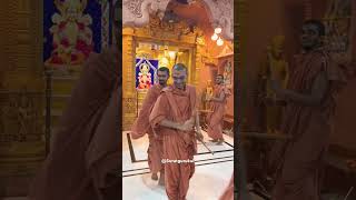 Ras suratgurukul swaminarayan shorts status ras saints darshan music [upl. by Helprin697]