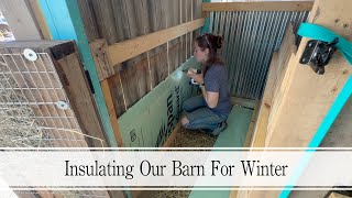 Insulating The Barn For Winter [upl. by Llerrit]