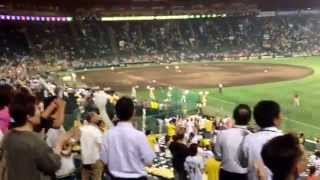 Fans sing the Hanshin Tigers theme song  Koshien Stadium Osaka  June 17 2014  Meniscus Magazine [upl. by Niroht17]