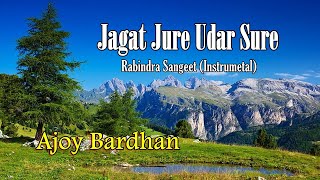 quotJagat Jure Udar Surequot  Ajoy Bardhan  Instrumental Music [upl. by Ahsimac]