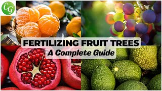 Optimal Fertilizing for Fruit Trees Comprehensive Schedule amp Guide for Lush Yields [upl. by Kissie]