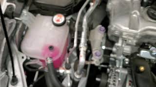 2020 2021 2022 Toyota Corolla How To Check Coolant Level In Overflow Reservoir Bottle 2ZRFAE 18L [upl. by Acinorev]